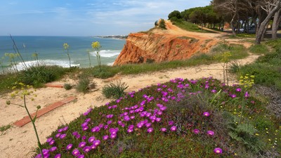 Vandretur Algarve